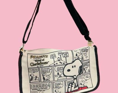 Bolso 2
