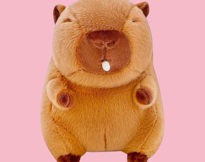 Capibara chicle