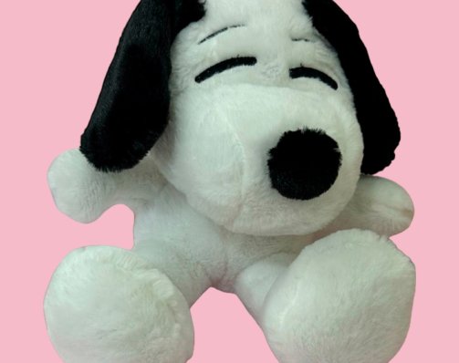 Snopy