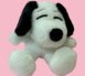 Snopy