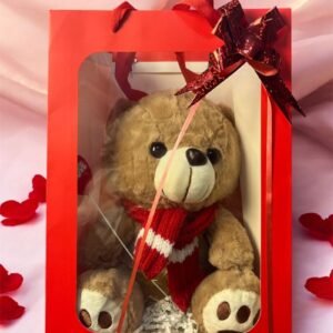 Peluche Oso San Valentín