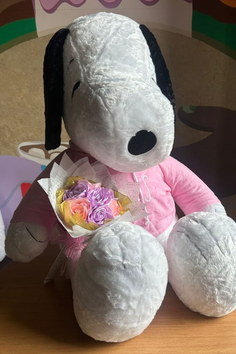 Peluche Snoopy Gigante - Image 2