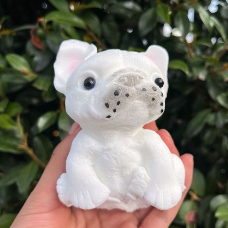 Squishy Taba Perro